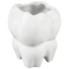 Hentschel-Dental Váza z porcelánu ve tvaru zubu