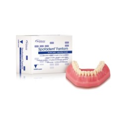 SpofaDental Fantom Dolní 1ks