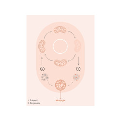 BRAINMARKET BrainMax Enhanced Urolithin A (60 kapslí) 1bal