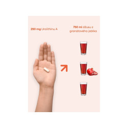 BRAINMARKET BrainMax Enhanced Urolithin A (60 kapslí) 1bal