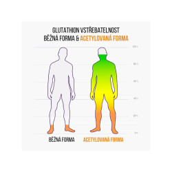 BRAINMARKET BrainMax IMMUNIZER (60 kapslí) 1bal