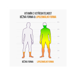 BRAINMARKET BrainMax IMMUNIZER (60 kapslí) 1bal