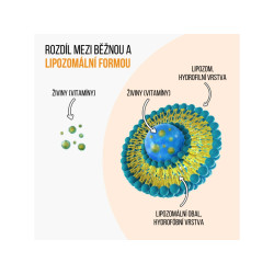 BRAINMARKET BrainMax IMMUNIZER (60 kapslí) 1bal