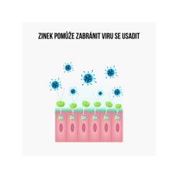 BRAINMARKET BrainMax IMMUNIZER (60 kapslí) 1bal