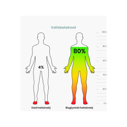 BRAINMARKET BrainMax Men Multivitamin (90 kapslí) 1bal