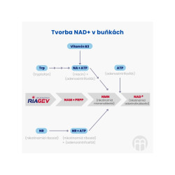BRAINMARKET BrainMax NAD+ RiaGev 750 mg (100 kapslí) 1bal