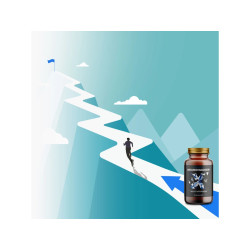 BRAINMARKET BrainMax NeuroHacker Dopamine Upgrade (60kapslí) 1bal