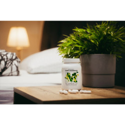 BRAINMARKET BrainMax Sleep Magnesium 320mg (100 kapslí) 1bal