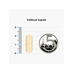 BRAINMARKET BrainMax Women Beauty Bomb Vlasy/Nehty/Pleť (90 kapslí) 1bal