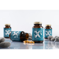 BRAINMARKET BrainMax Zinc Complex (50 kapslí) 1bal