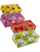 Kosmetické kapesníčky